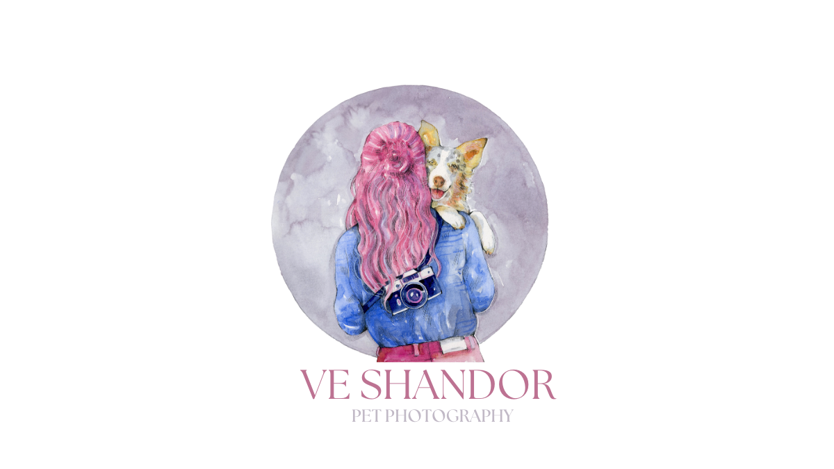  | Dog Photography | Ve Shandor